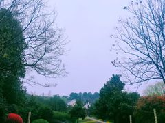 -天目湖涵田半山温泉