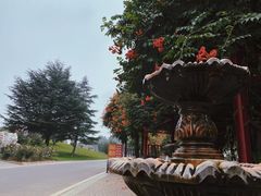 -石家庄市植物园