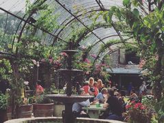 -The Grounds of Alexandria