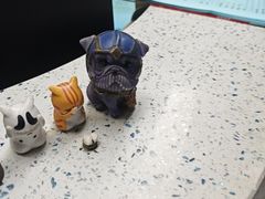 -半岛宠物医院24小时(白果林店)