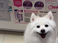 -宠福鑫康馨动物医院·骨科·眼科