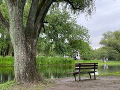 -上海共青森林公园