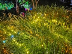 -昆山城市生态森林公园