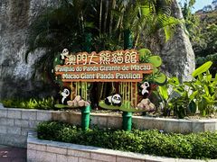 -石排湾郊野公园