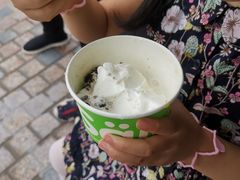 -Salud撒露欧洲冻酸奶(蓝色港湾店)