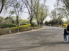-丁香湖公园