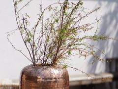-悦哉·派对·草坪婚礼·围炉煮茶(三圣乡店)