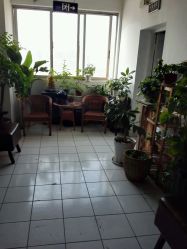 -原木·Top Design发型定制