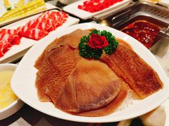 -海底捞火锅(龙湾万达广场店)