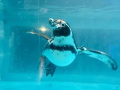 -正佳极地海洋世界