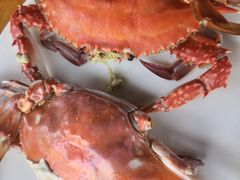 -海帮主·蒸汽海鲜青岛菜(栈桥火车站店)