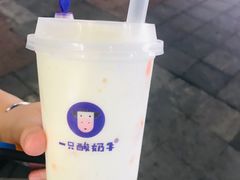 -一只酸奶牛(八一路店)