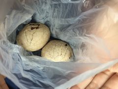 日月潭阿姆茶叶蛋-金盆阿嬷香菇茶叶蛋(玄光店)