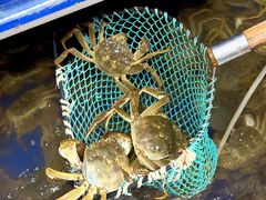 -阳澄湖大闸蟹·琼灵阁牌品牌连锁(吴中总店)