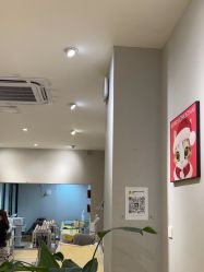 -洗脸猫·洗脸吧