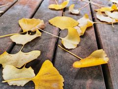 -食膳公园包子铺(烈士公园店)