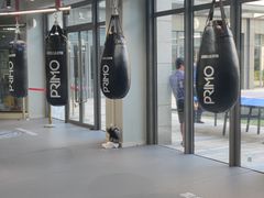 -花环泰拳·勒德斯拉泰拳馆(静安店)