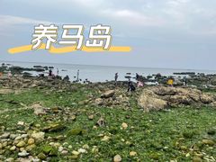 -养马岛旅游度假区