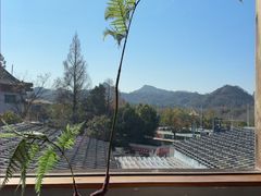 -宴武夷·匠心闽味(印象大红袍店)
