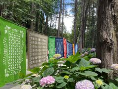 -寂照庵