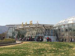 -北京植物园-展览温室