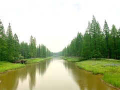 -黄海国家森林公园