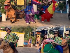 -郑州方特水上乐园