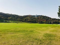 -羊山湖公园