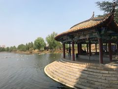 -庾园