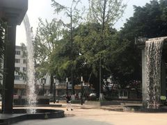 -温江公园