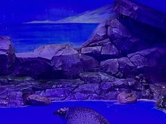 -上海海昌海洋公园-冰山北极馆