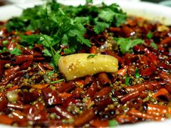 -院8里·少城记忆老川菜(宽窄巷子店)