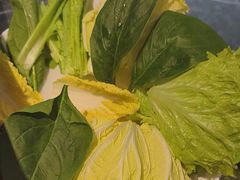 -东来顺饭庄·火锅(环岛店)