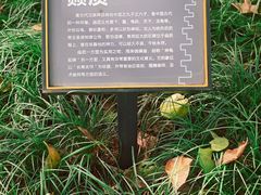 -木塔寺遗址生态公园