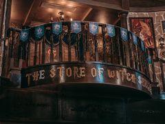 -雪灵魔法世界SHELLY’S TAROT(大良桂畔里店)