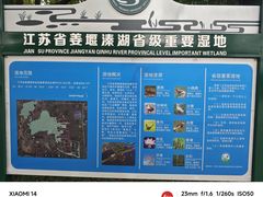 -溱湖国家湿地公园