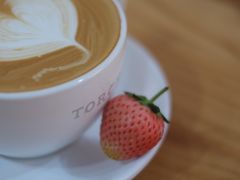 -Torch Coffee 炬点咖啡
