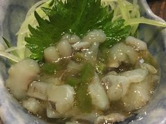芥末八爪鱼-大雄寿司(中华广场店)