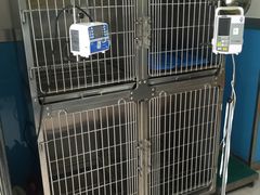 -康爱犬猫诊所·牙专科·骨外科·影像内科(丰宁店)