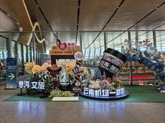 -潘祥记鲜花饼(昆明长水国际机场店)