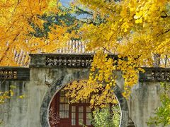 -香山公园