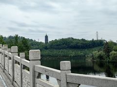 -重庆园博园