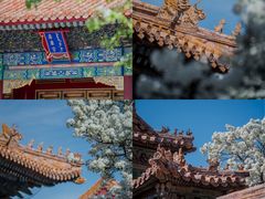 -故宫博物院(故宫)