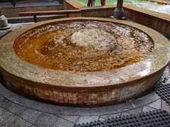 -春晖园度假酒店温泉