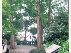 -西湖外事游船(花港观鱼码头)