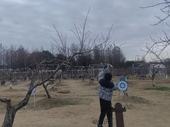 -乌村