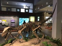 -自贡恐龙博物馆
