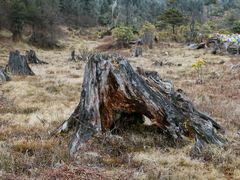 -硗碛藏寨·神木垒景区