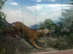 -国家自然博物馆