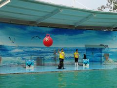 -西安秦岭野生动物园